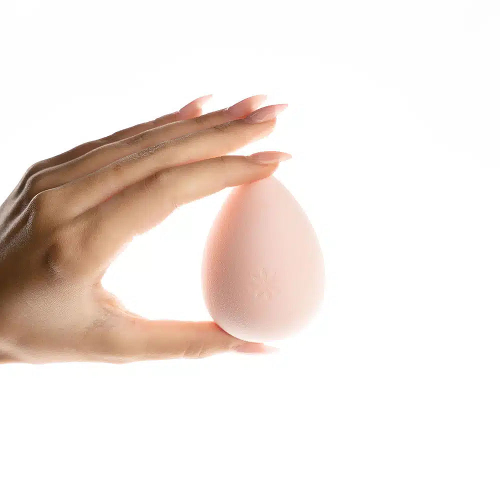 BW-COMPLEXION SPONGE