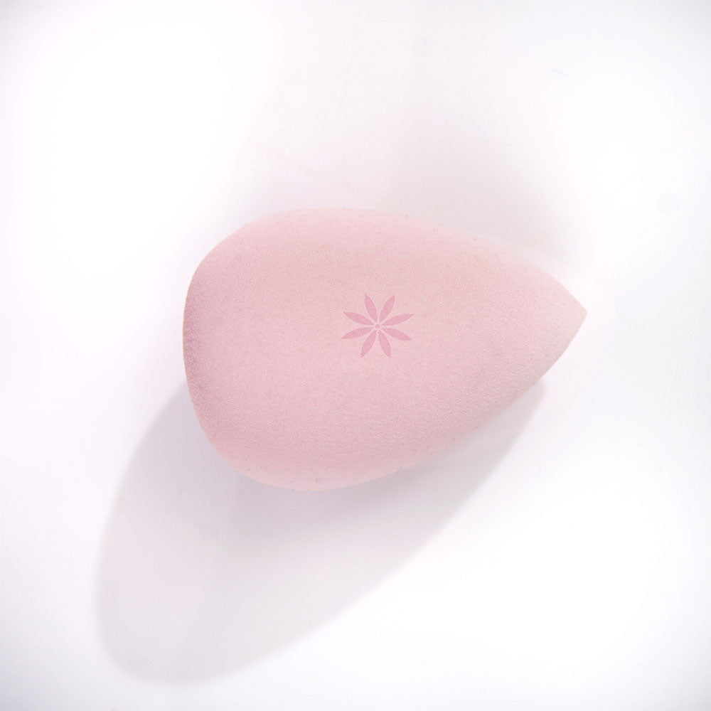 BW-COMPLEXION SPONGE