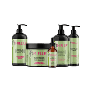 Mielle Care Offer