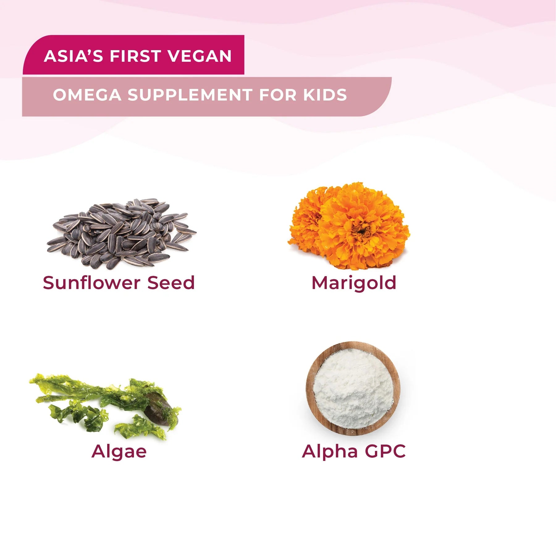 Wellbeing Nutrition Melts Kids Vital Omega Strawberry Mint 30 Oral Thin Strips
