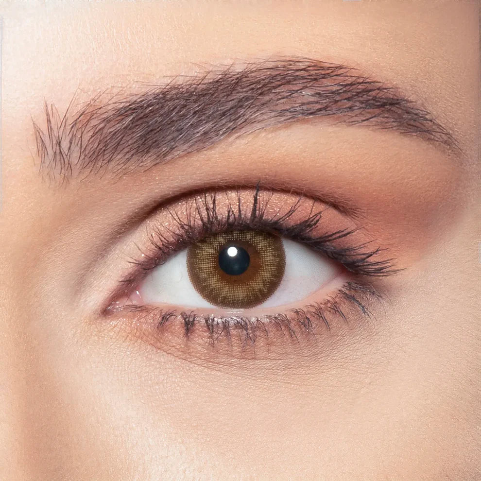 Bella One Day Almond Brown, Daily Disposable Colored Contact Lenses