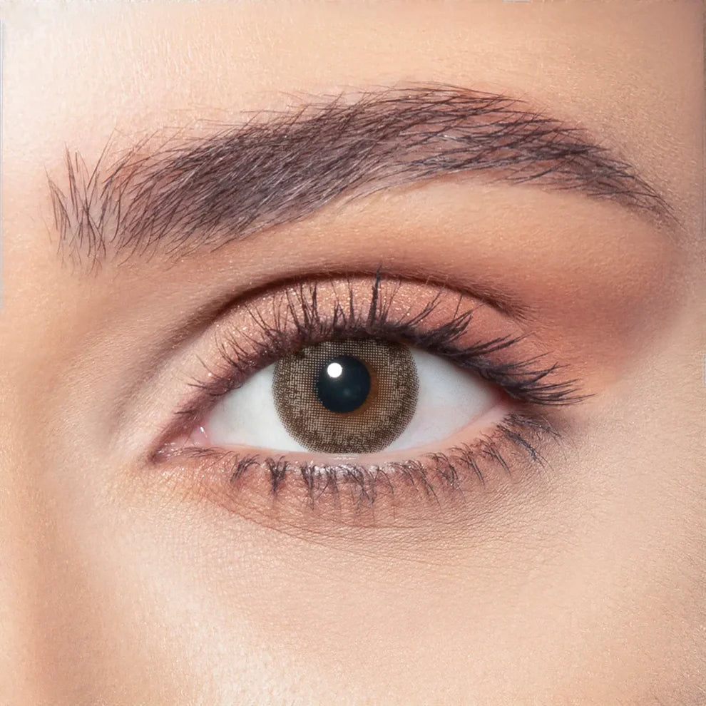 Bella One Day Ash Brown, Daily Disposable Colored Contact Lenses