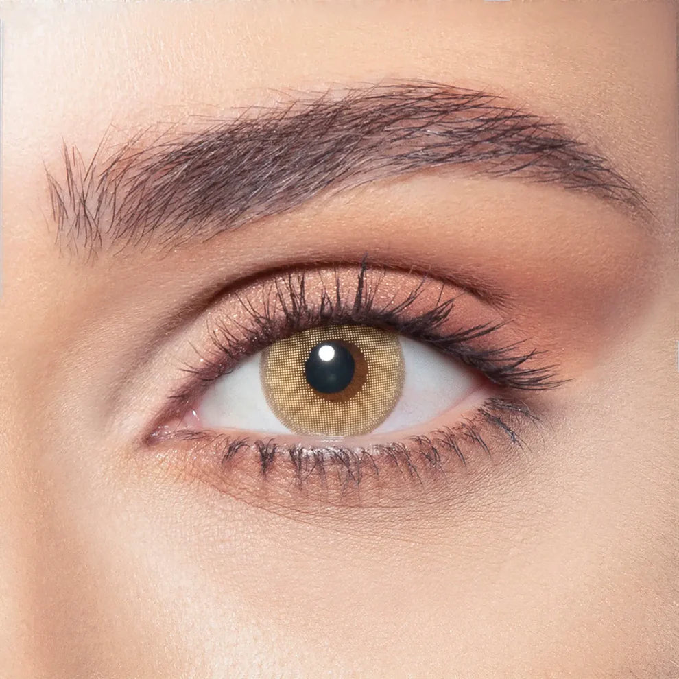 Bella One Day Hazel Beige, Daily Disposable Colored Contact Lenses