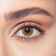 Bella One Day Hazel Honey, Daily Disposable Colored Contact Lenses