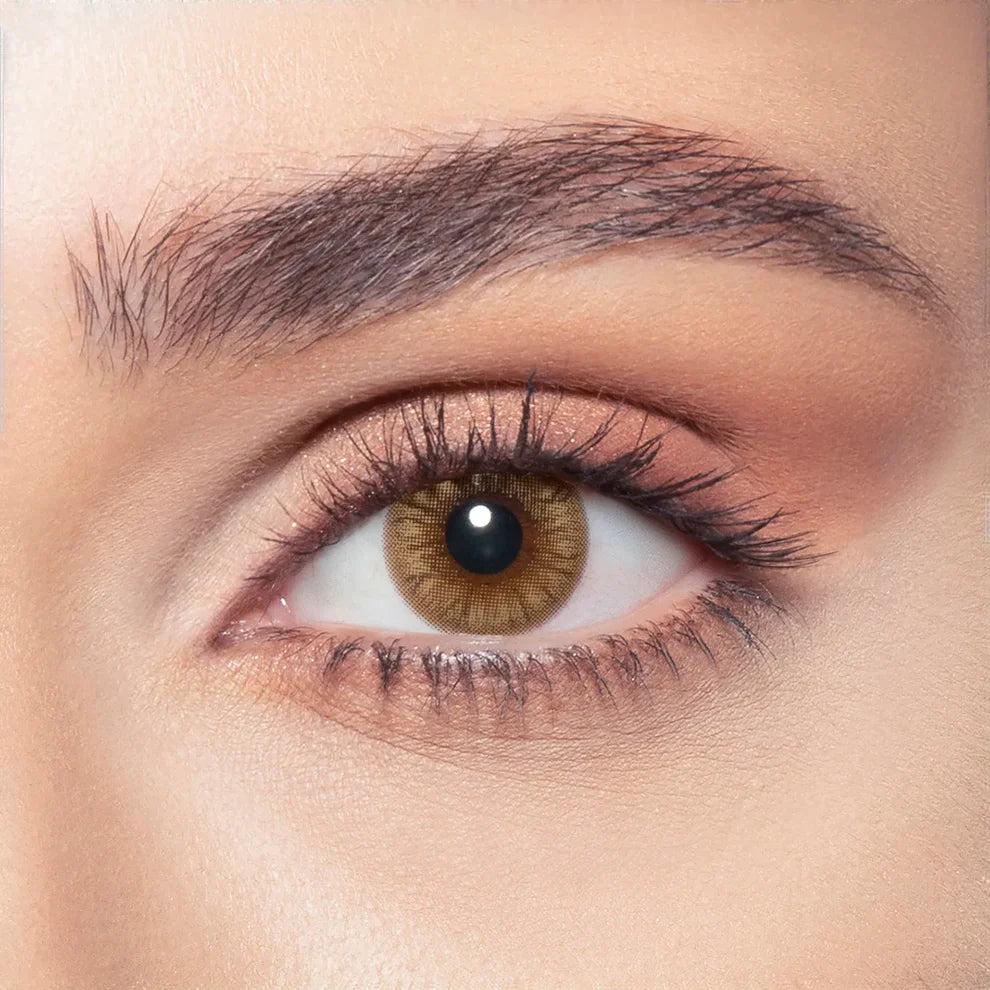 Bella One Day Hazel Honey, Daily Disposable Colored Contact Lenses