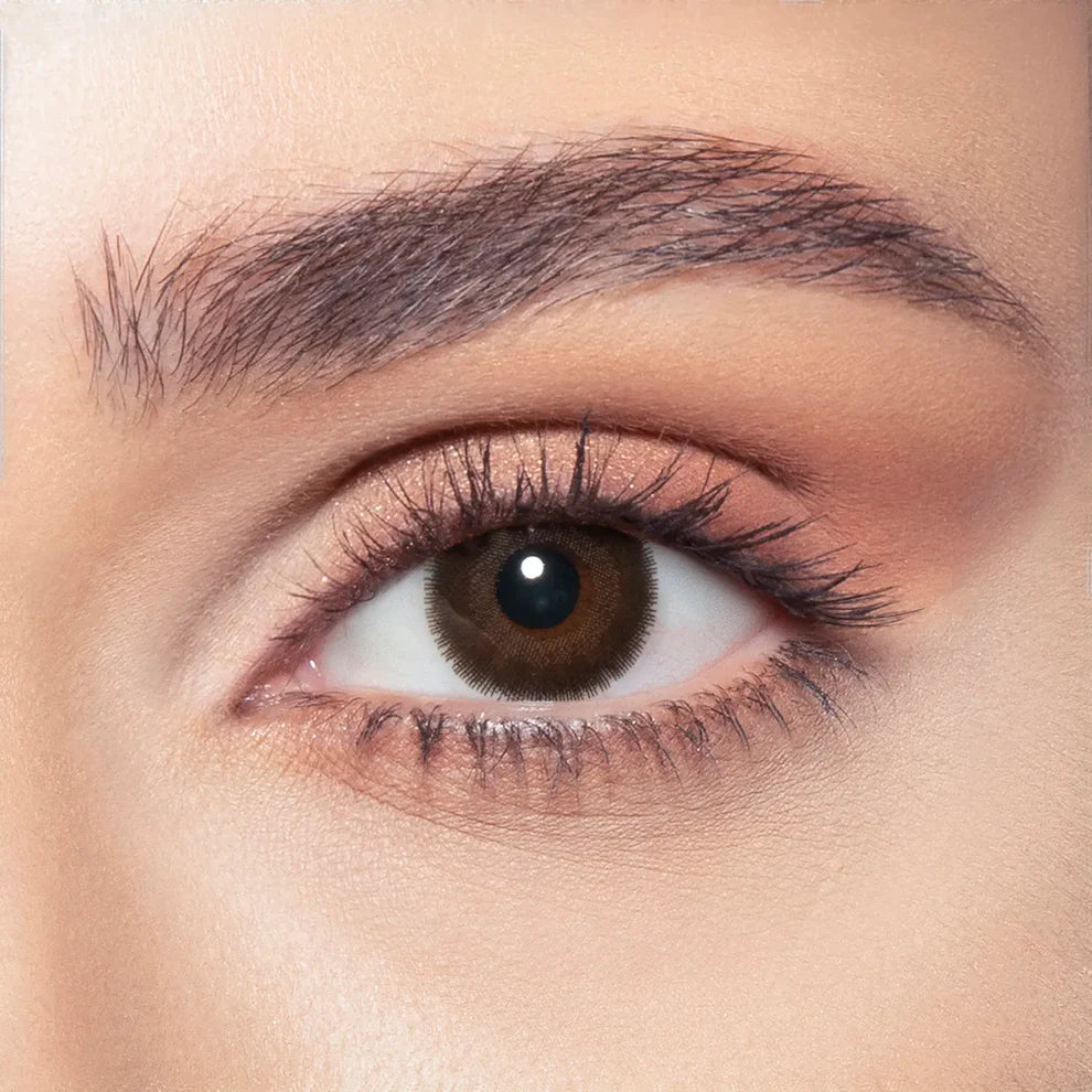 Bella One Day Cedar, Daily Disposable Colored Contact Lenses