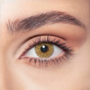 Bella One Day Radiant Hazel Nut, Daily Disposable Colored Contact Lenses